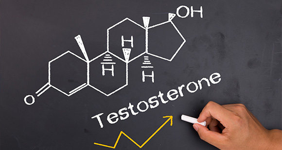 the chemical make-up of testosterone written on a chalkboard